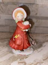 Raccoon With Pineapple