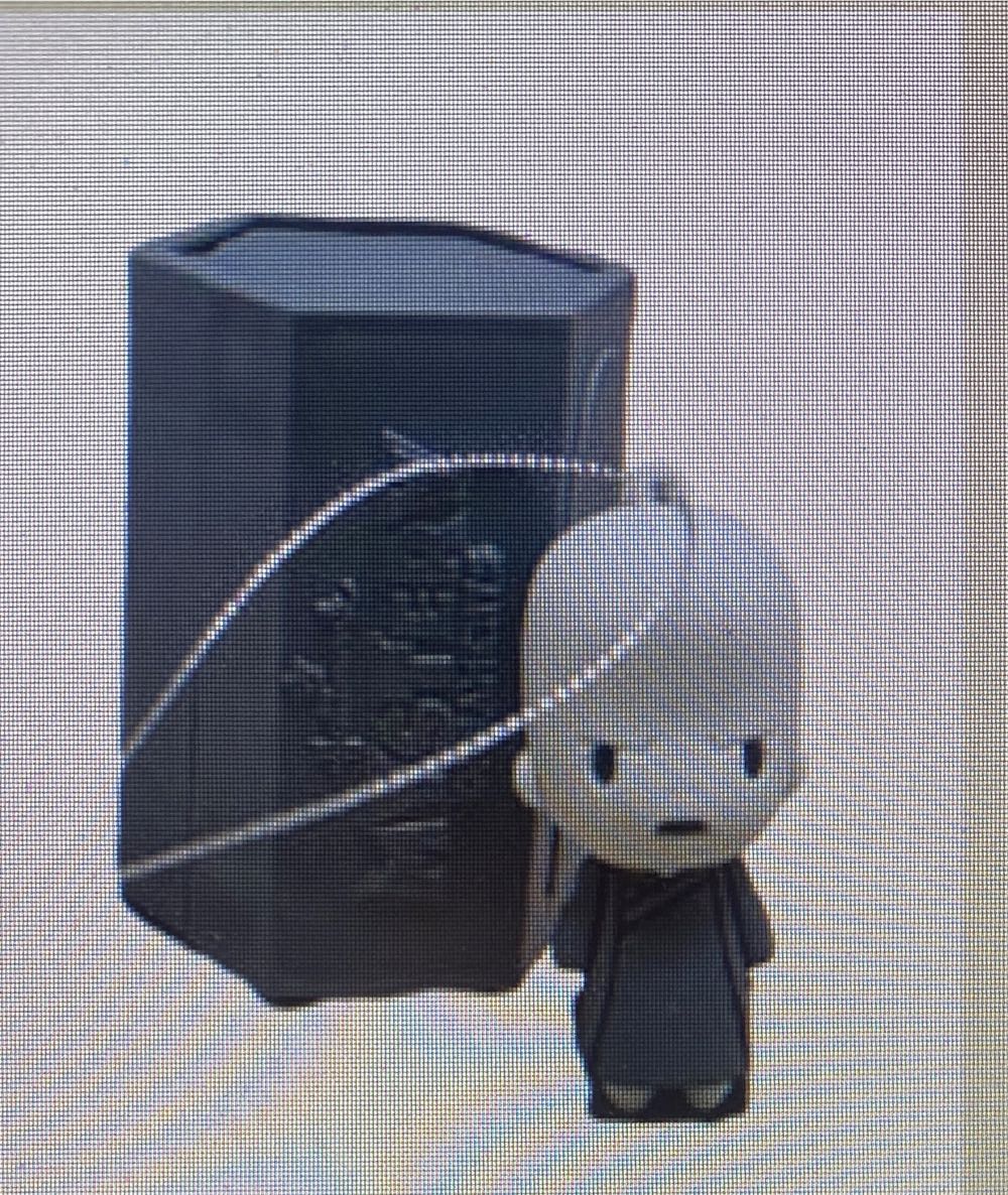 Beach scene backdrop