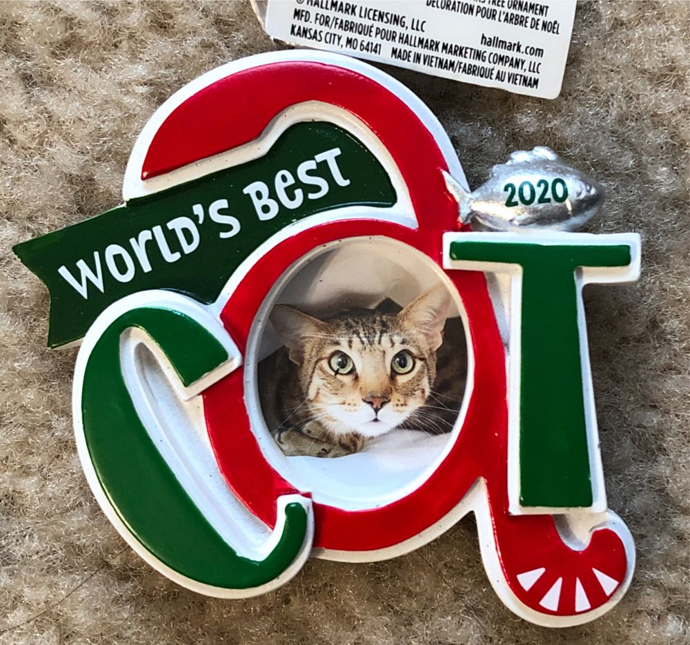 World’s Best Cat - Picture Frames ornament collectible [Barcode 763795670253] - Main Image 1