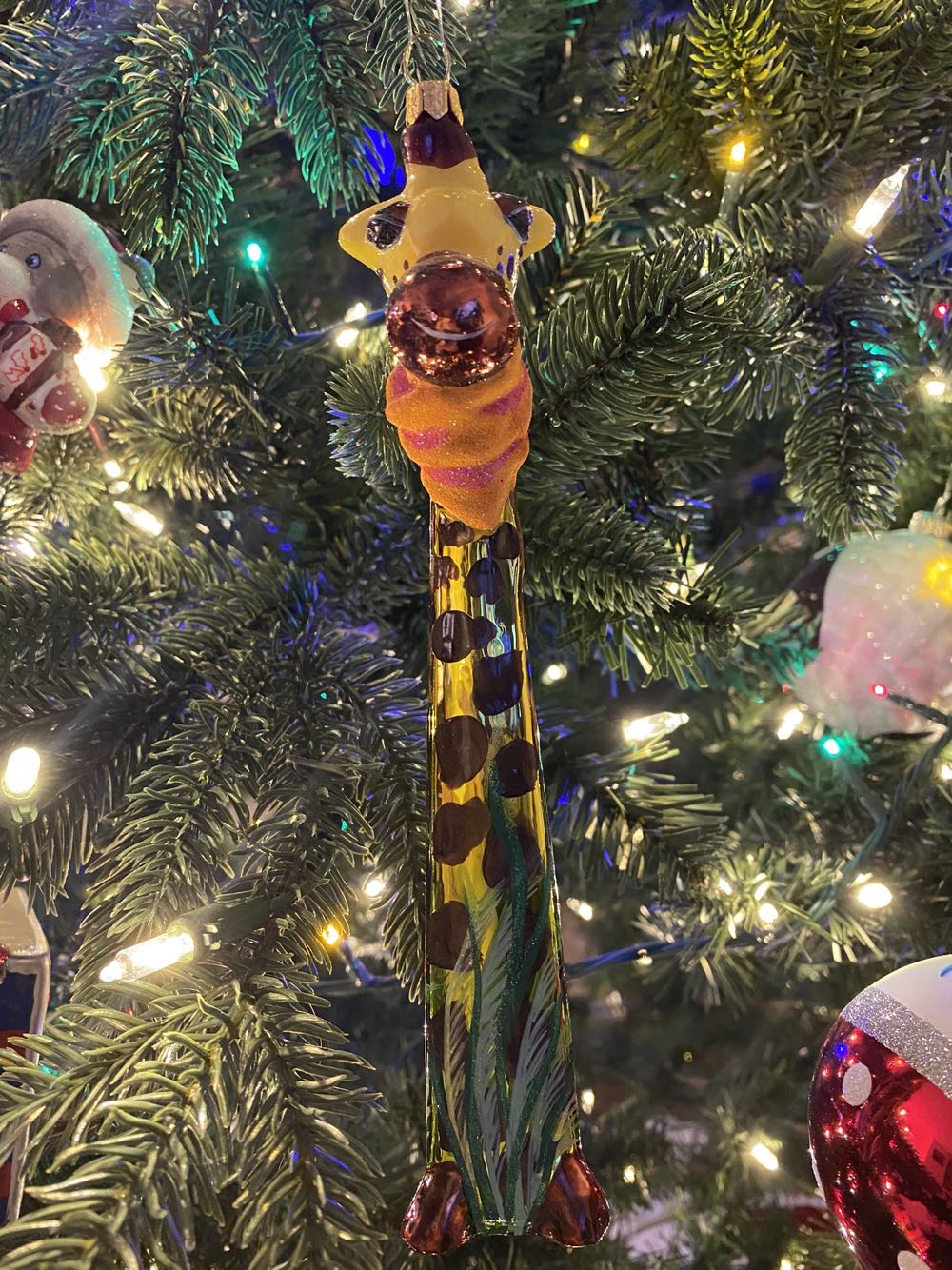 Miniature Nature’s Angels #1 Rabbit 🐶