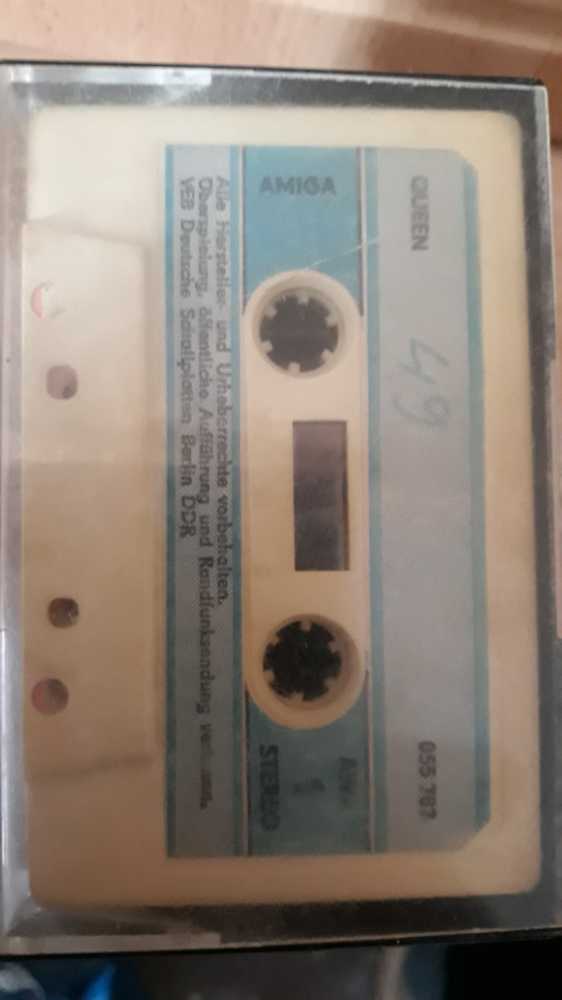 Devineau - (Size 3) - Animal - Camel