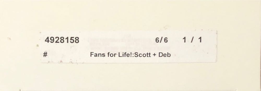 Fans For Life - NHL Collection (Hockey) ornament collectible - Main Image 2