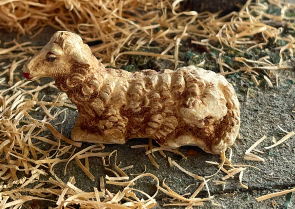 Berger - Animal - Donkey - Standing