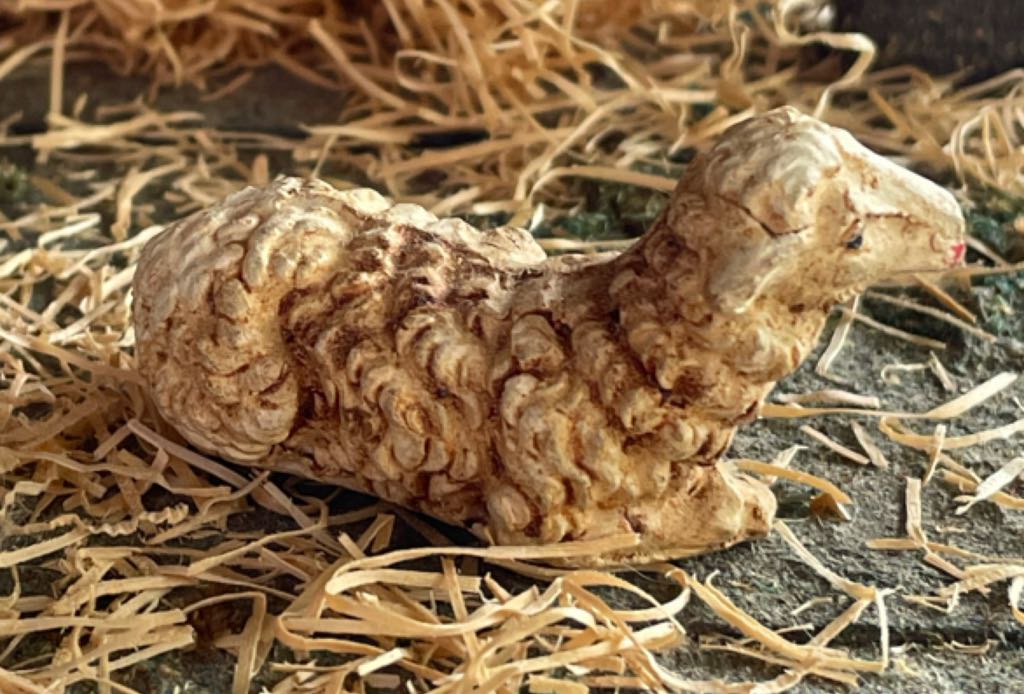 Fontanini - (Set 10) - Animal - Sheep - Supine - Animals (Nativity) ornament collectible - Main Image 2