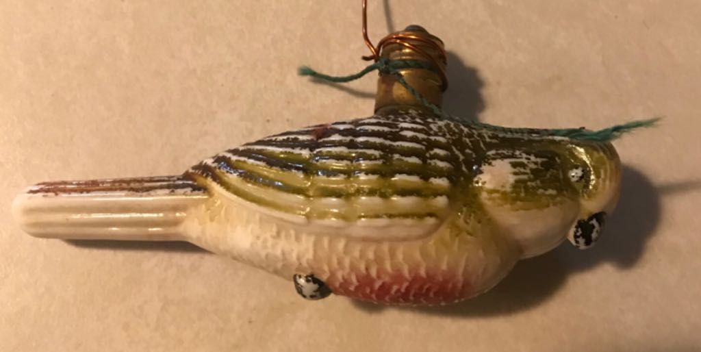 Taylor Swift Fearless (Taylor’s Version)