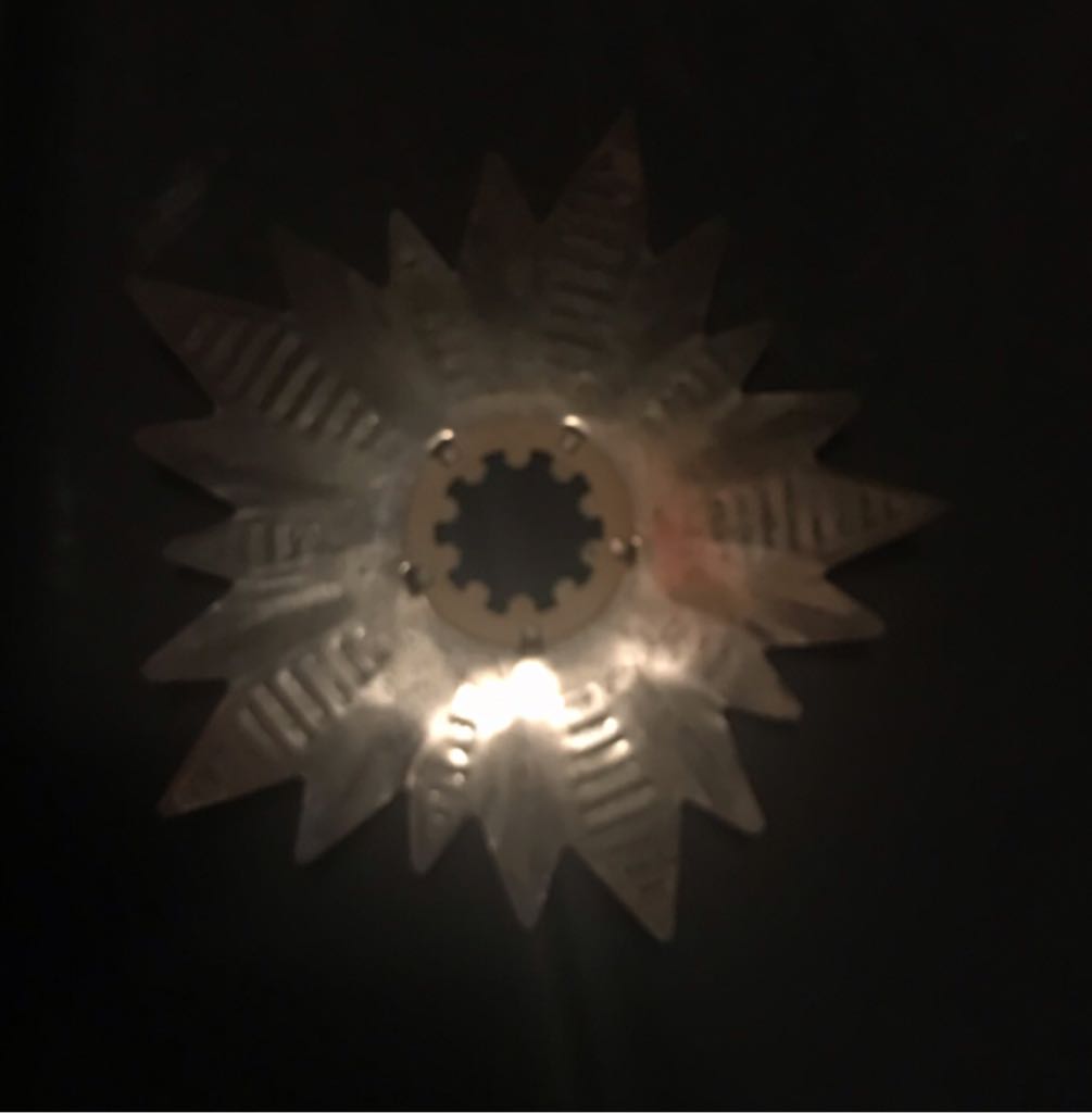 Berger - Animal - Bactrian - Camel - Standing