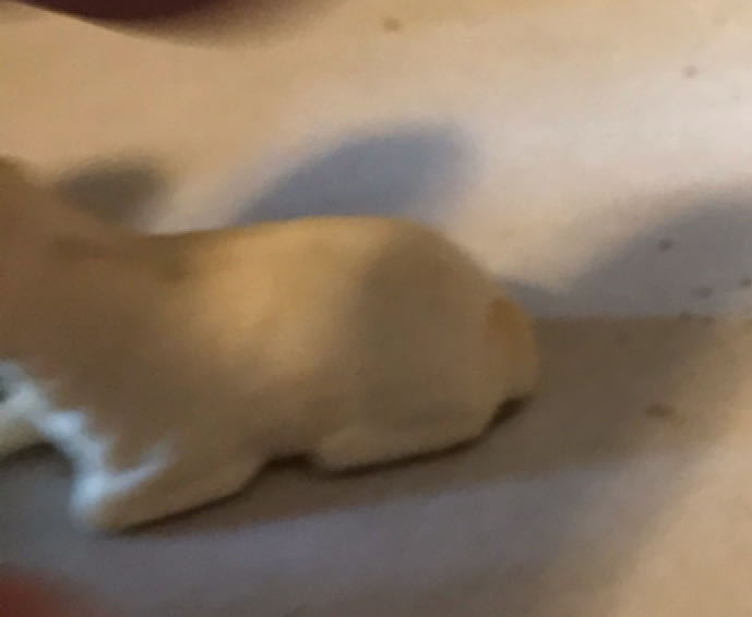 Berger - Animal - Bactrian - Camel - Standing