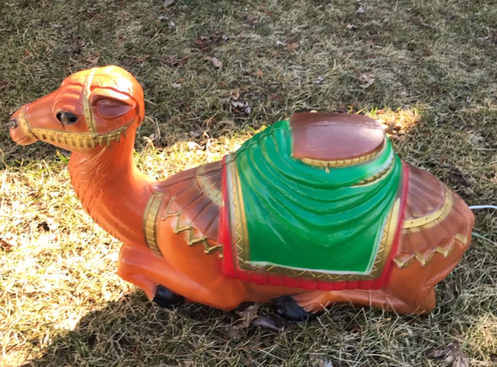 Corwin - Animal - Sheep - Supine