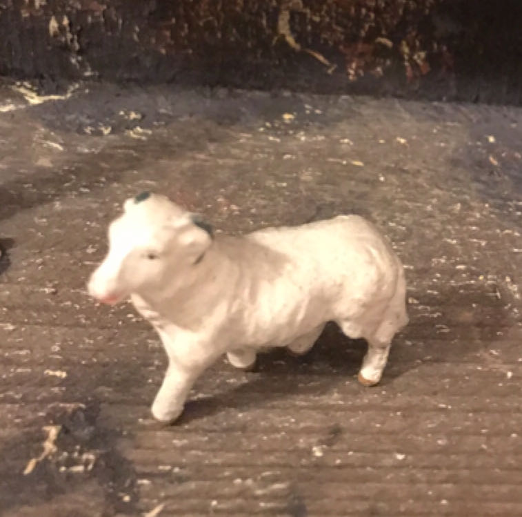 Image 47159