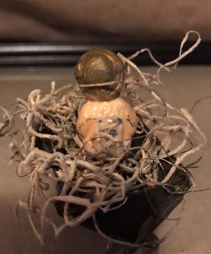 Occupied Japan - Holy Family - Baby Jesus - Holy Family (Nativity) ornament collectible - Main Image 2