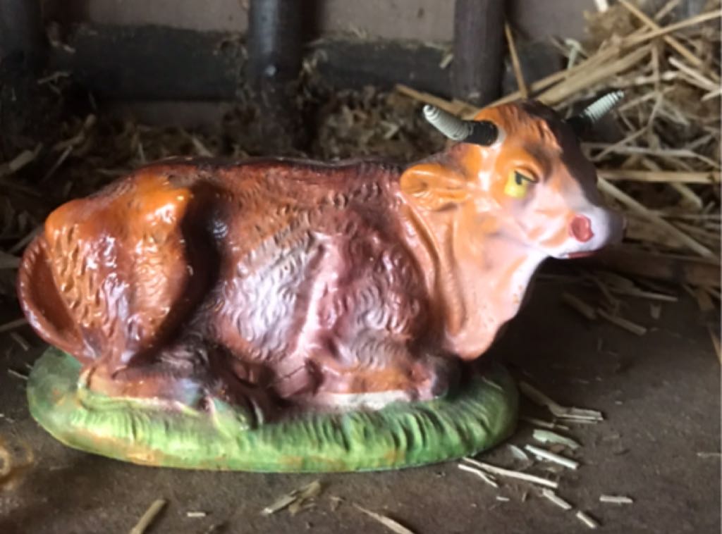 Image 47243