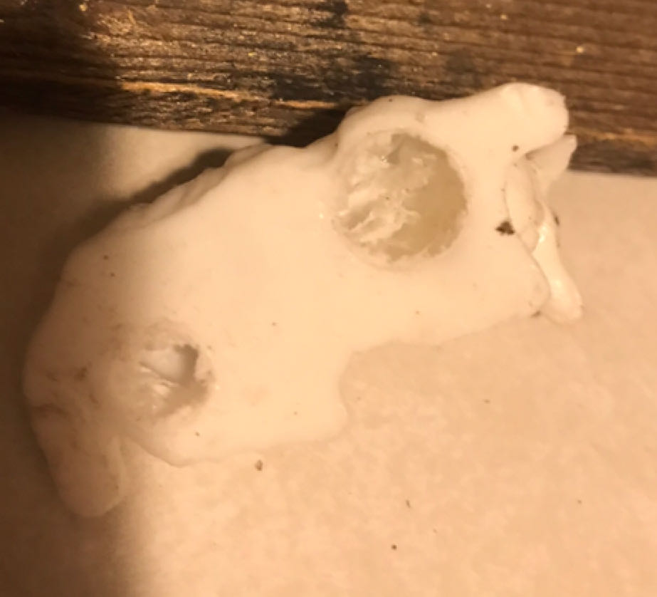 Miller - (Set 2) - Animal - Sheep - Supine To Left - Animals (Nativity) ornament collectible - Main Image 2