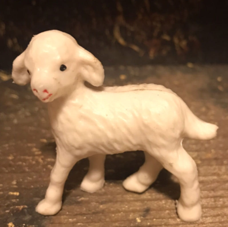 Image 47257
