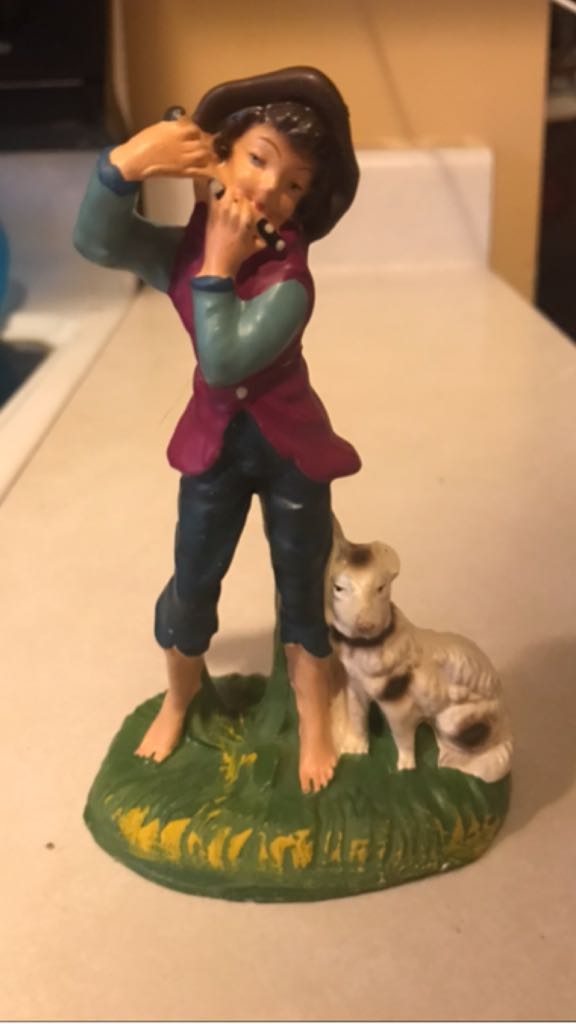 France - Animal - Camel - Supine