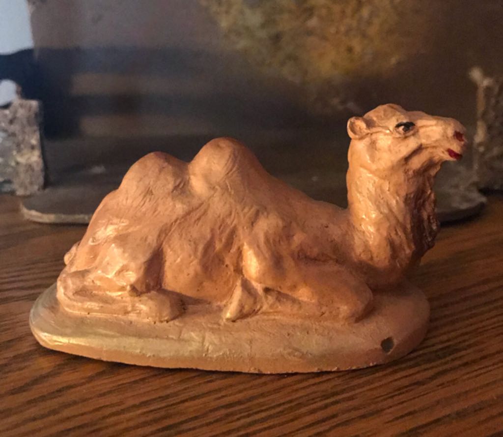 Friedel - (Set 1) - Animal - Supine Cow