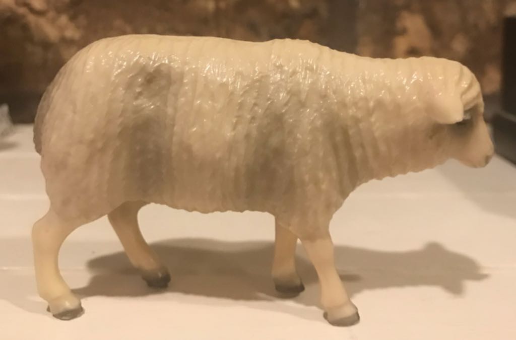 Berger - Shepherd - Lamb On Shoulders