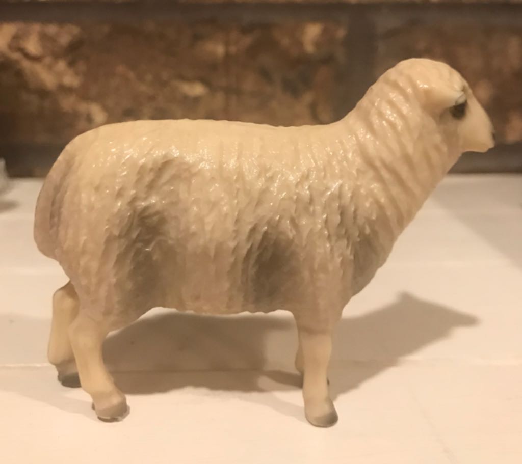 Miller - (Set 5) - Animal - Sheep - Supine