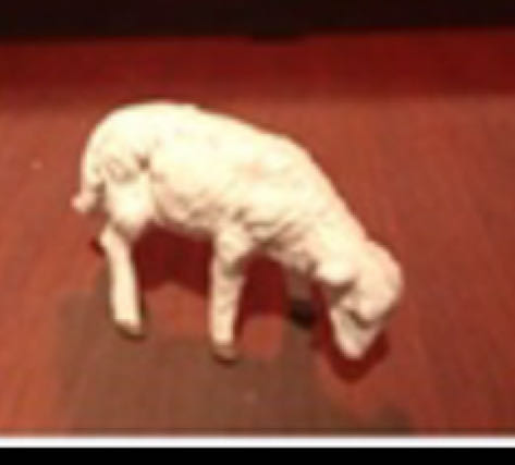 Miller - Animals - Camel - Standing