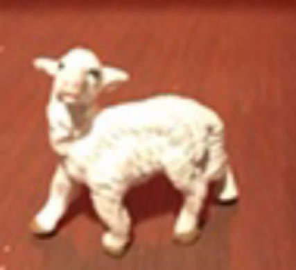 Image 47594