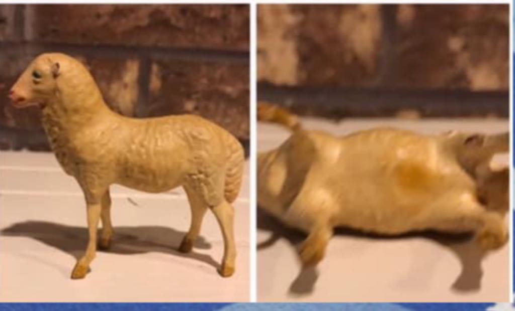 Apel - Animal - Supine Sheep - Animals (Nativity) ornament collectible - Main Image 2