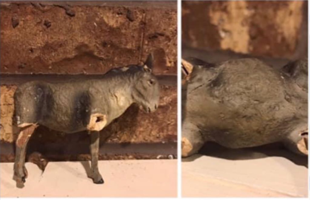 Apel - Animal - Donkey - Standing - Animals (Nativity) ornament collectible - Main Image 2