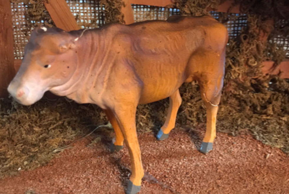 Christmas - Honeycomb - Drummer Boy