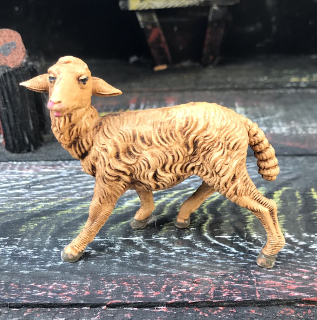 Viviani - Magi - Caspar On Camel