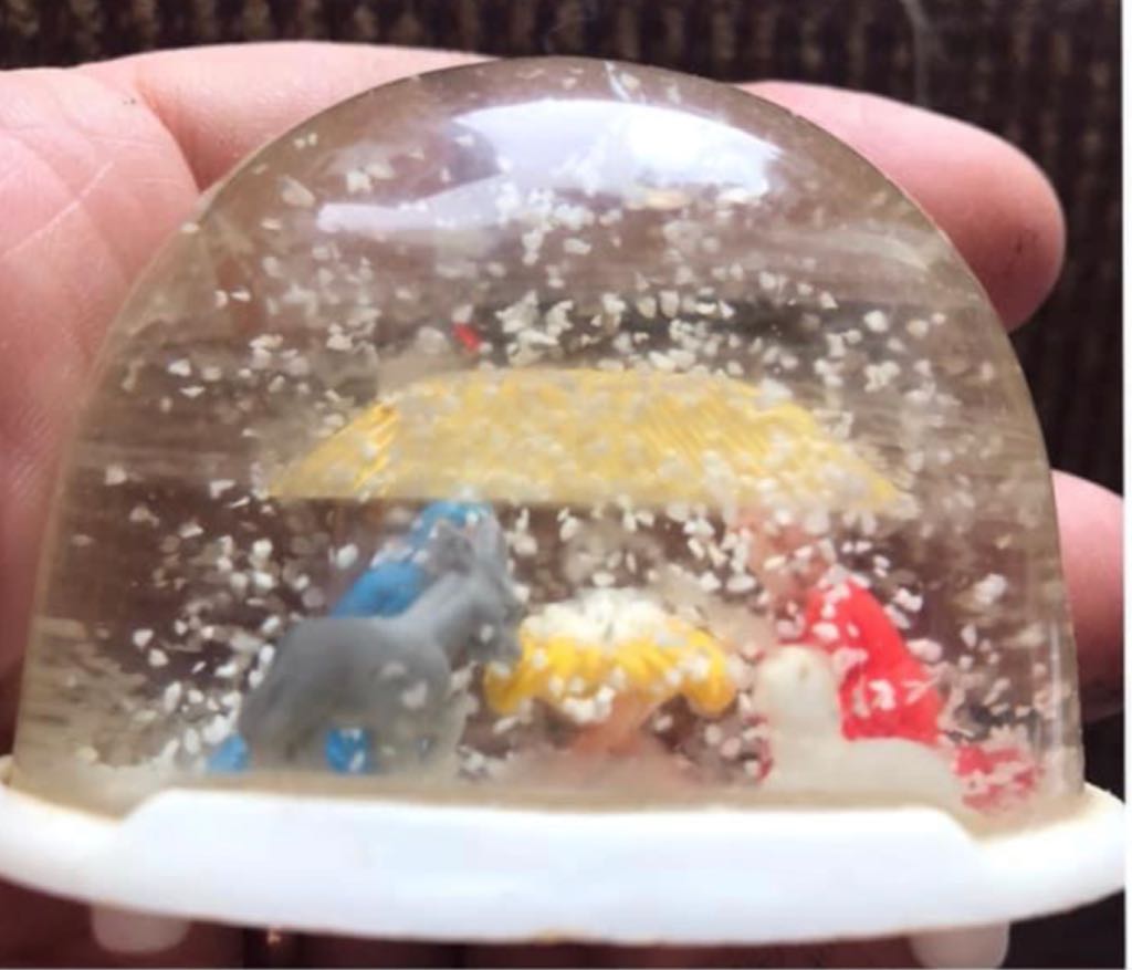 Marchi - Magi - Camel Driver