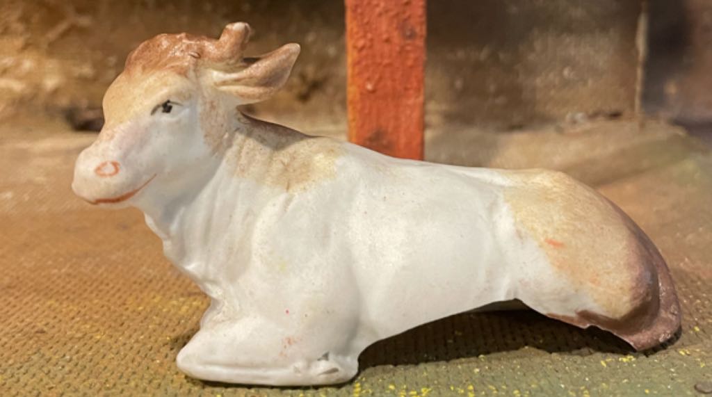 HvN (Set 1) - Stable