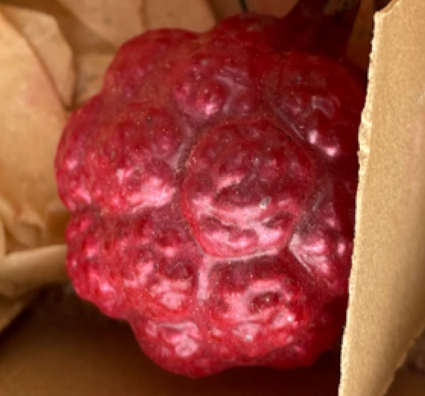 Dept. 56 - Original Snow Village - Christmas - Accesory - Santa Comes To Town - 2006