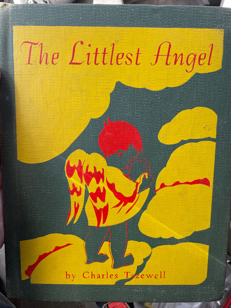 Majestic Wilderness - 1999 - #3 - Curious Racoons