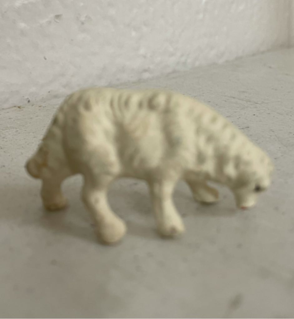 Fontanini - (Set 8) - Animal - Sheep - Grazing - Animals (Nativity) ornament collectible - Main Image 2