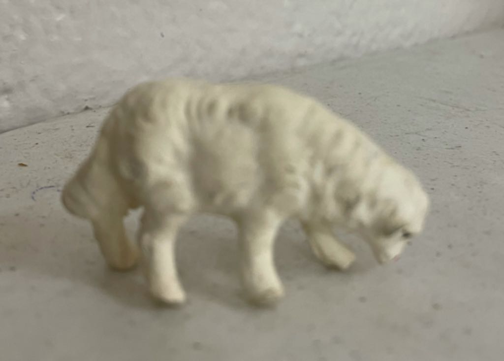 Halloween - Die Cut - Cat & Pumpkin