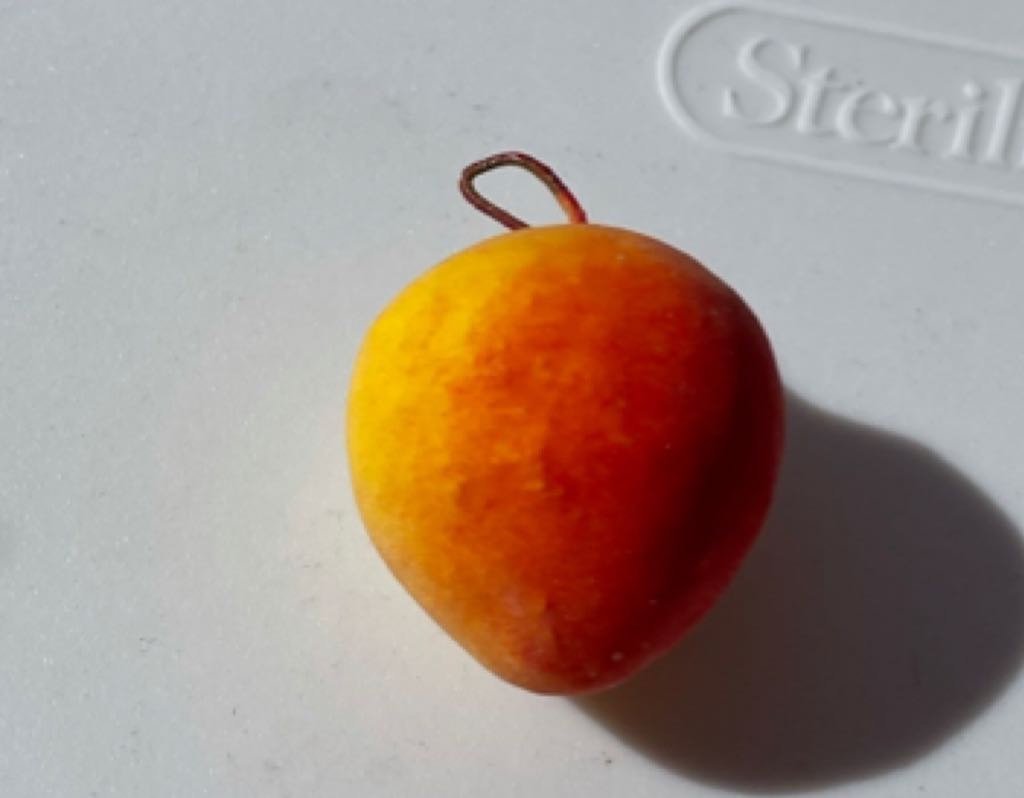 The Cookie Jar Company - Christmas Tree