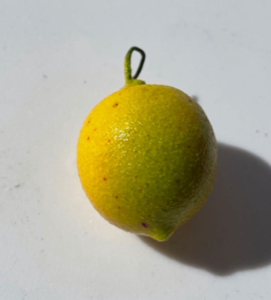 Feather Tree - Ball - Red - White Stripes