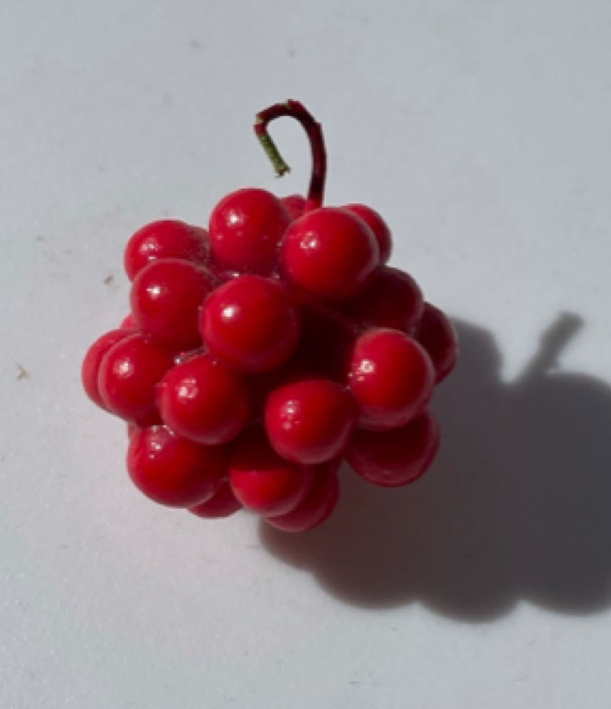 Poland - Round - Scallops