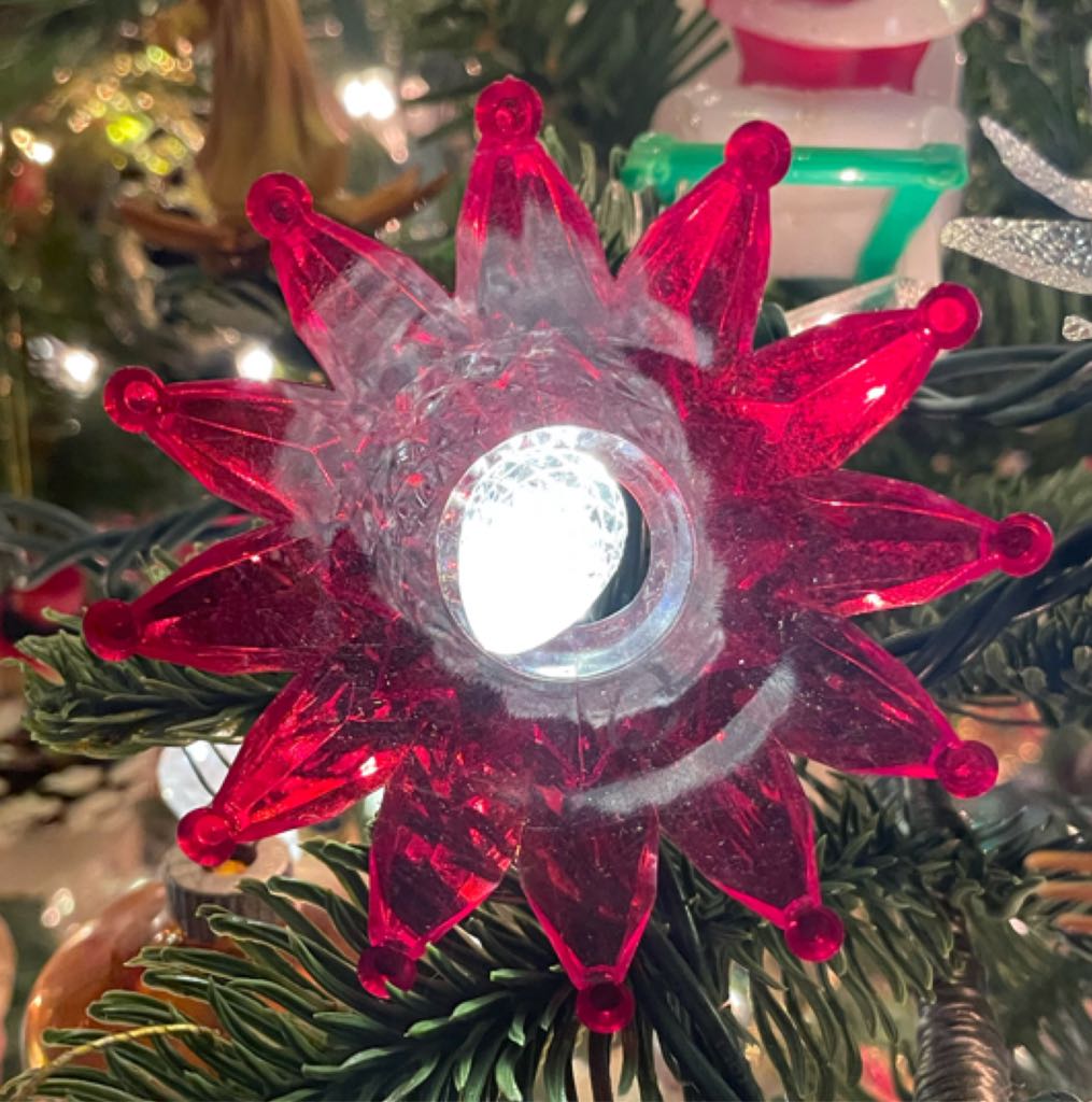 Tavern - Thanksgiving - Female - Pilgrim