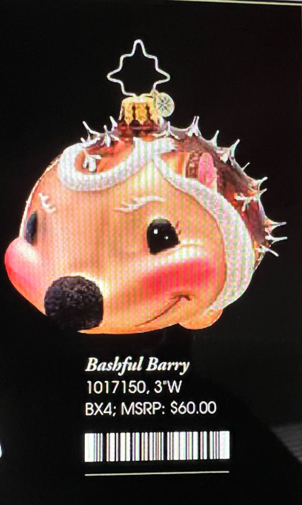 Bashful Barry - 1017150 (Animals) ornament collectible - Main Image 2