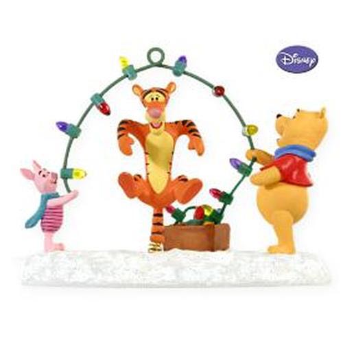 Double Winter Star Blossom