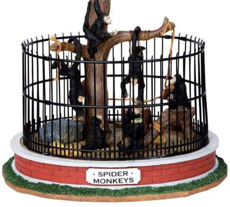 63568 Buggyride Courting