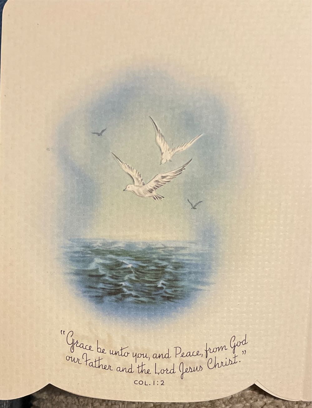 Sunshine Line - Christmas Card - C-7 - Christmas (Greeting Card) ornament collectible - Main Image 2