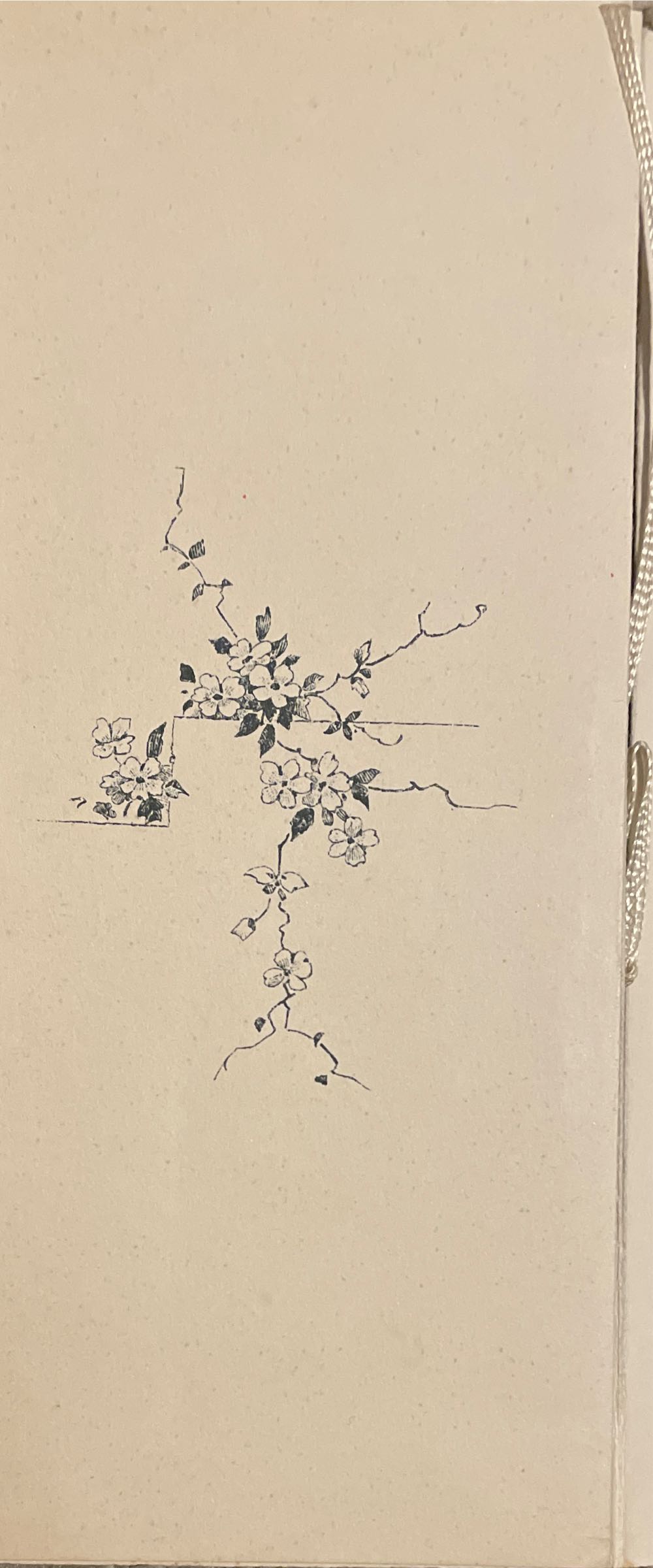 Raphael Tuck & Sons - Christmas Card - Christmas (Greeting Card) ornament collectible - Main Image 4