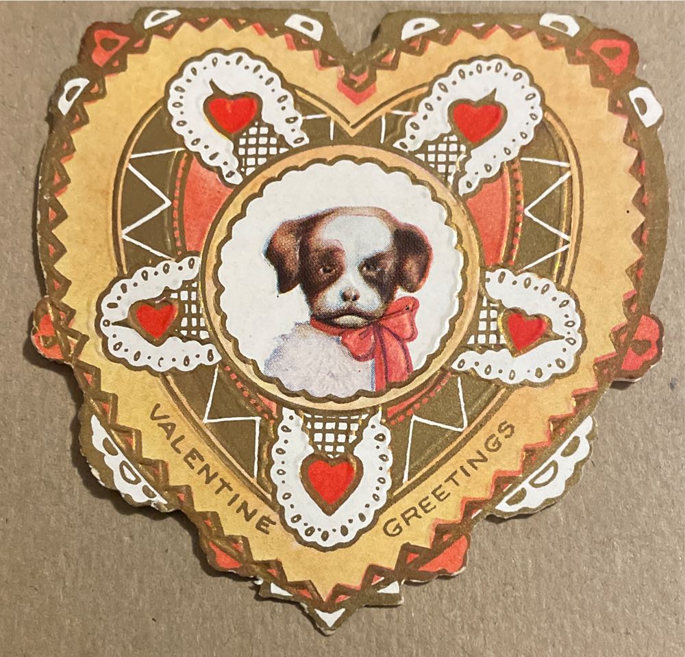 Muffy Wizard Of Pawz