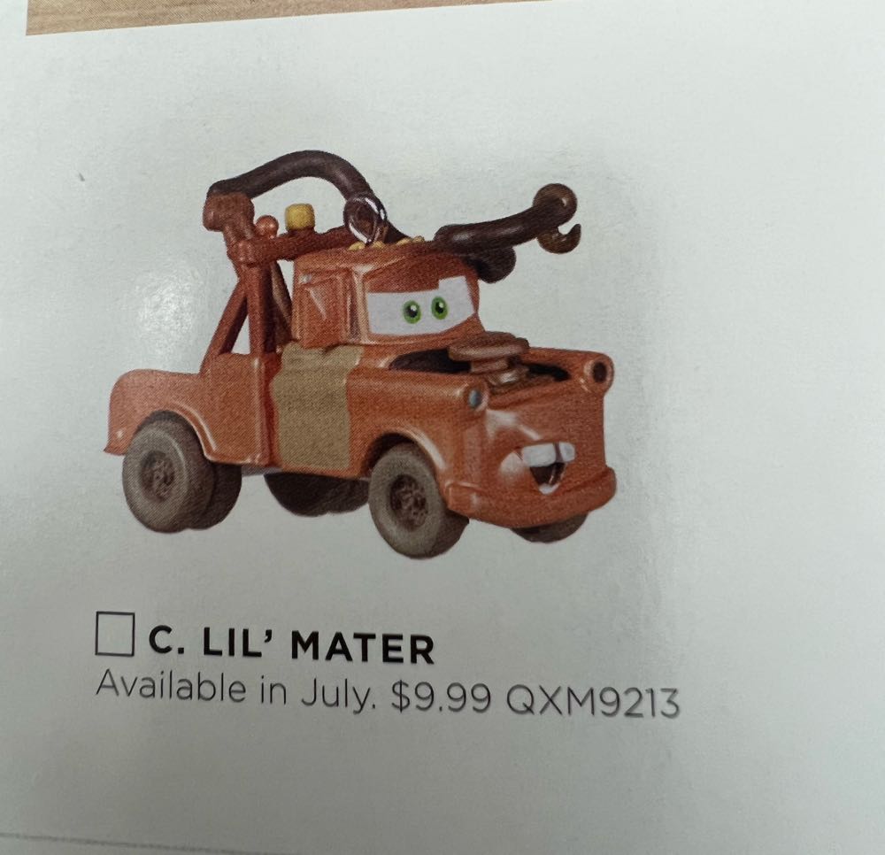 Marshmallows Around The Campfire