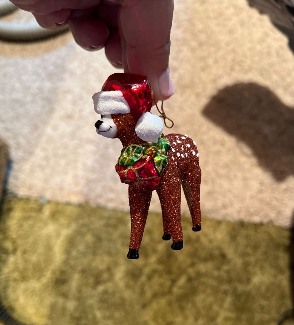 The Polar Express, The First Gift Of Christmas