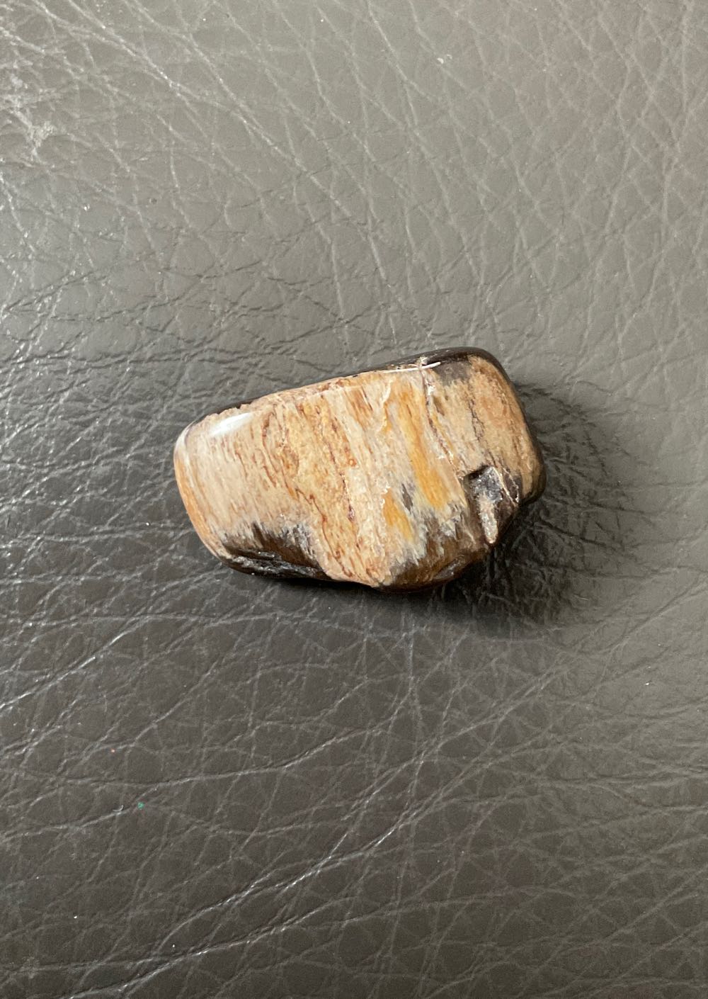 Fossilized Wood - Tumble Stones ornament collectible - Main Image 2