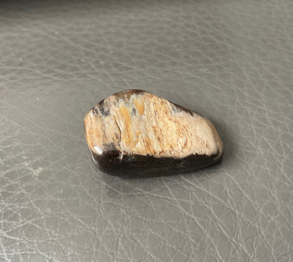 Fossilized Wood - Tumble Stones ornament collectible - Main Image 4