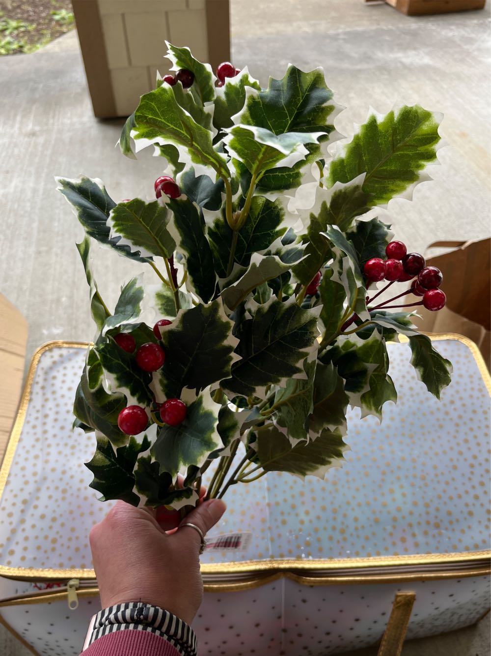 Casting for Dreams, Victorian House