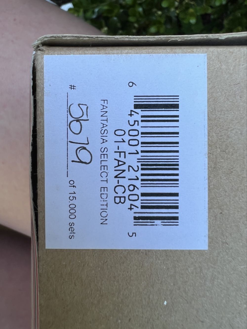 Fantasia - Fantasia Select Edition - Fantasia Boxed Set (Fantasia) ornament collectible - Main Image 3