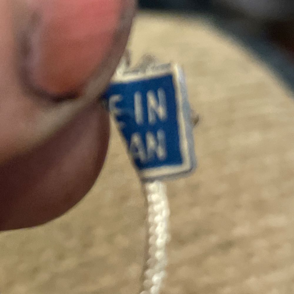 Flocked - Gingham - Dog - Dog (Gingham) ornament collectible - Main Image 4